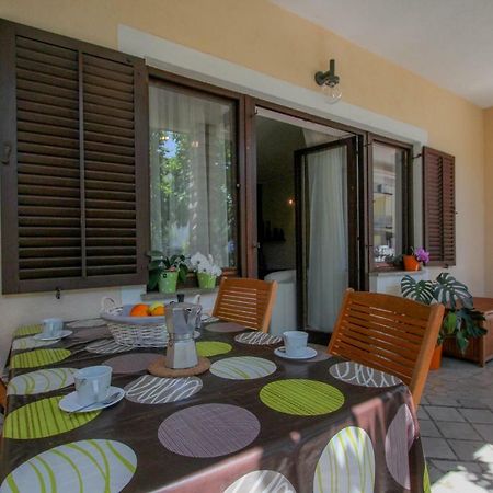 Apartment Sanja Novigrad (Istria) Exterior foto