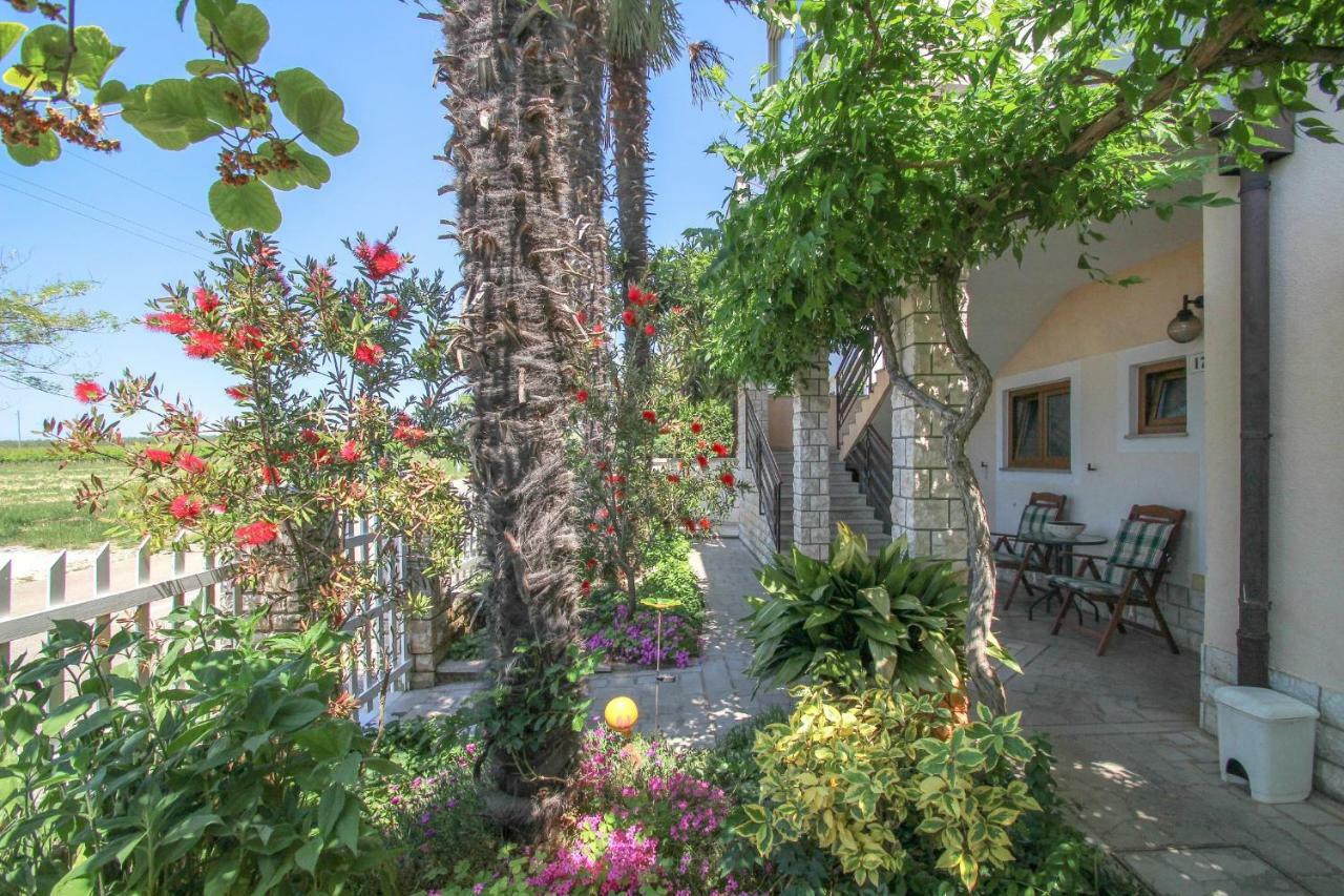 Apartment Sanja Novigrad (Istria) Exterior foto